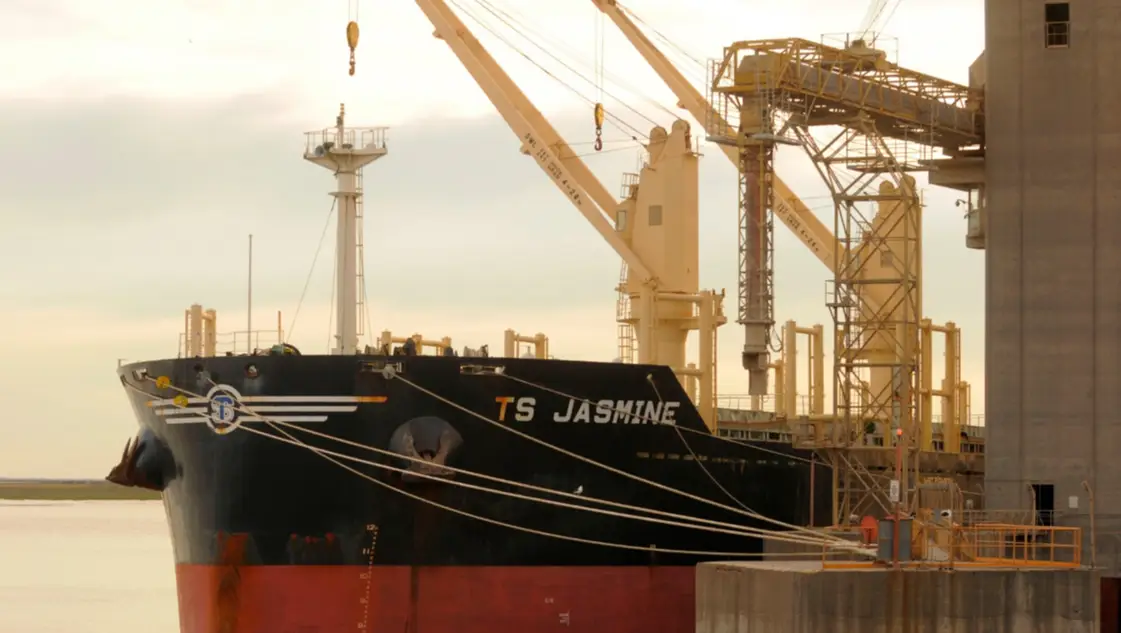 Un informe refleja la caída exportadora de granos en el puerto bahiense