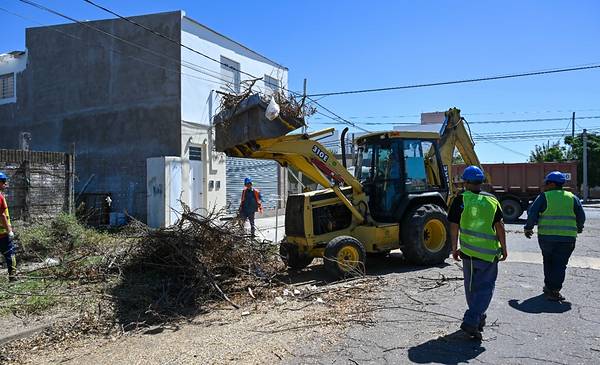 El Municipio continuó este sábado con la limpieza de ramas y remoción ...
