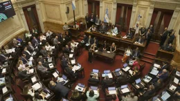 Senado: sin aumento, pero con un "aguinaldo" de 2,5 millones de pesos