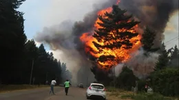  Los incendios en Epuyén y Bariloche no cesan: en total se consumieron alrededor de 11 mil hectáreas
