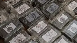 Encontraron un bolso con 30 kilos de droga en la costa de Monte Hermoso