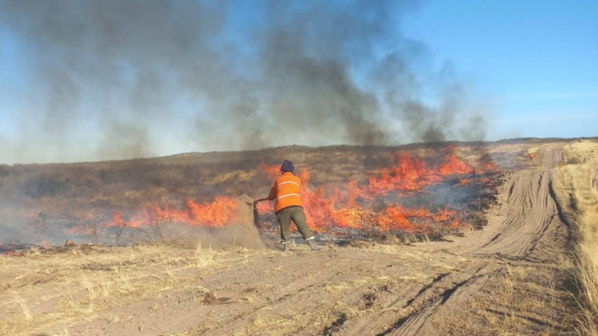 Un incendio quemó más de 100 hectáreas de campo en Patagones