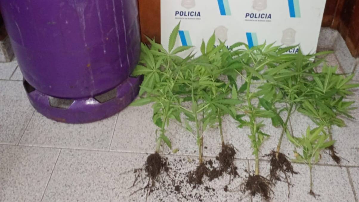 Secuestraron una garrafa robada y plantas de marihuana