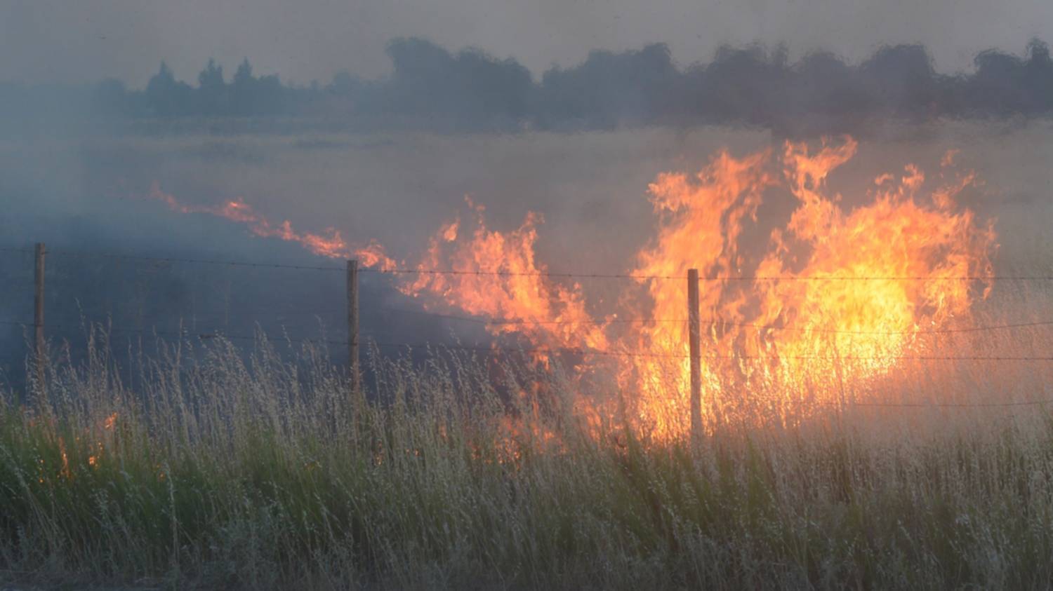 Piden aumentar una partida para asignarle más recursos a bomberos y delegaciones