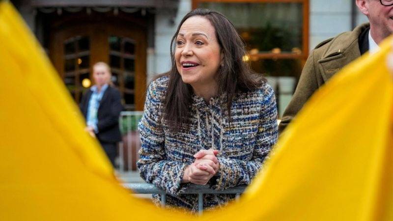 Asesor de María Corina Machado dice que en Venezuela “hay un Gobierno electo listo para asumir”