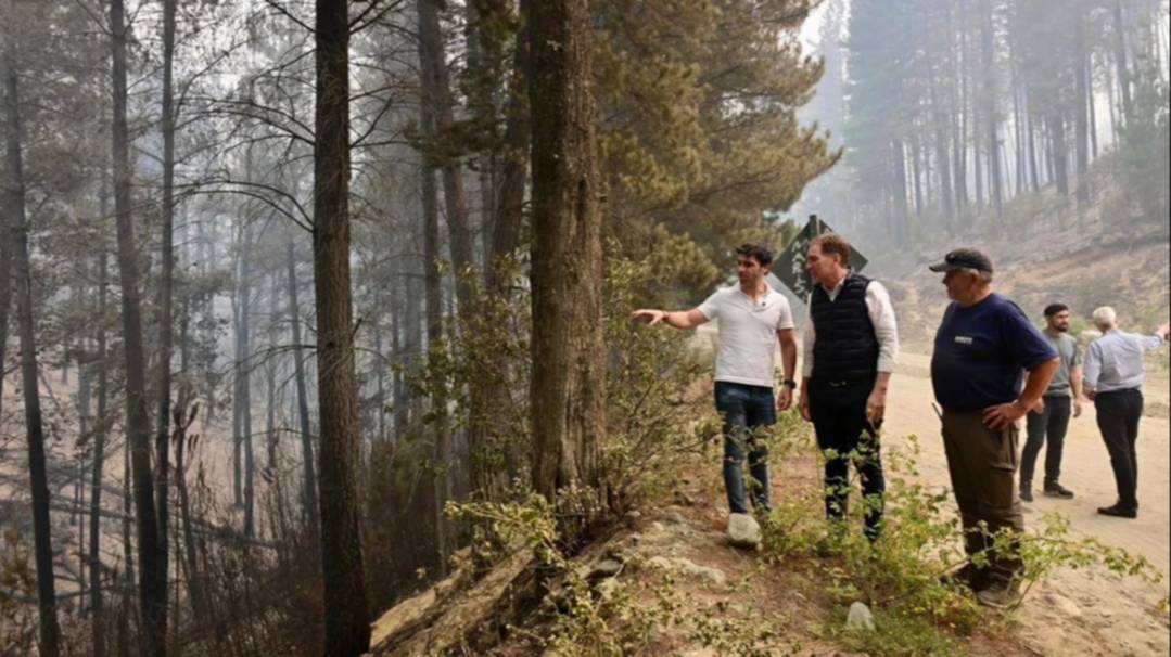 Incendios en Chubut: millonaria recompensa para dar con los responsables