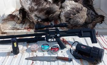 Aprehendieron a 3 hombres acusados de cazar ñandúes