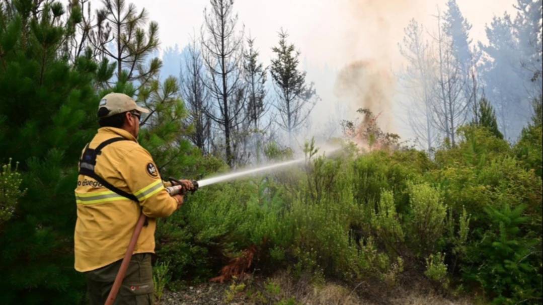 "El incendio en Puerto Patriada está contenido en un 85 por ciento", dijo Ignacio Torres