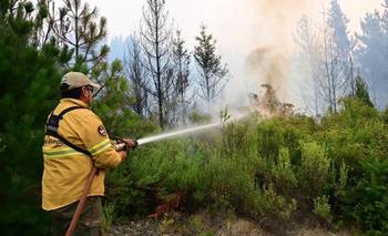 "El incendio en Puerto Patriada está contenido en un 85 por ciento", dijo Ignacio Torres