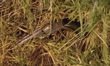 Amenazaba a su expareja y cuando llegó la policía descartó un arma