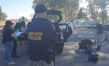 Monte Hermoso: controlan con perros el posible ingreso de drogas