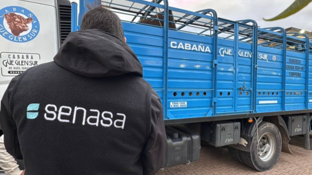 El Gobierno anunció cambios para reforzar el control sanitario de los animales