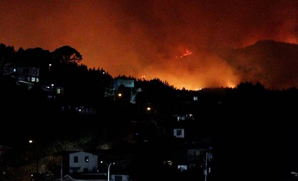 Confirman 19 muertos por los incendios forestales en el sur de Chile ...
