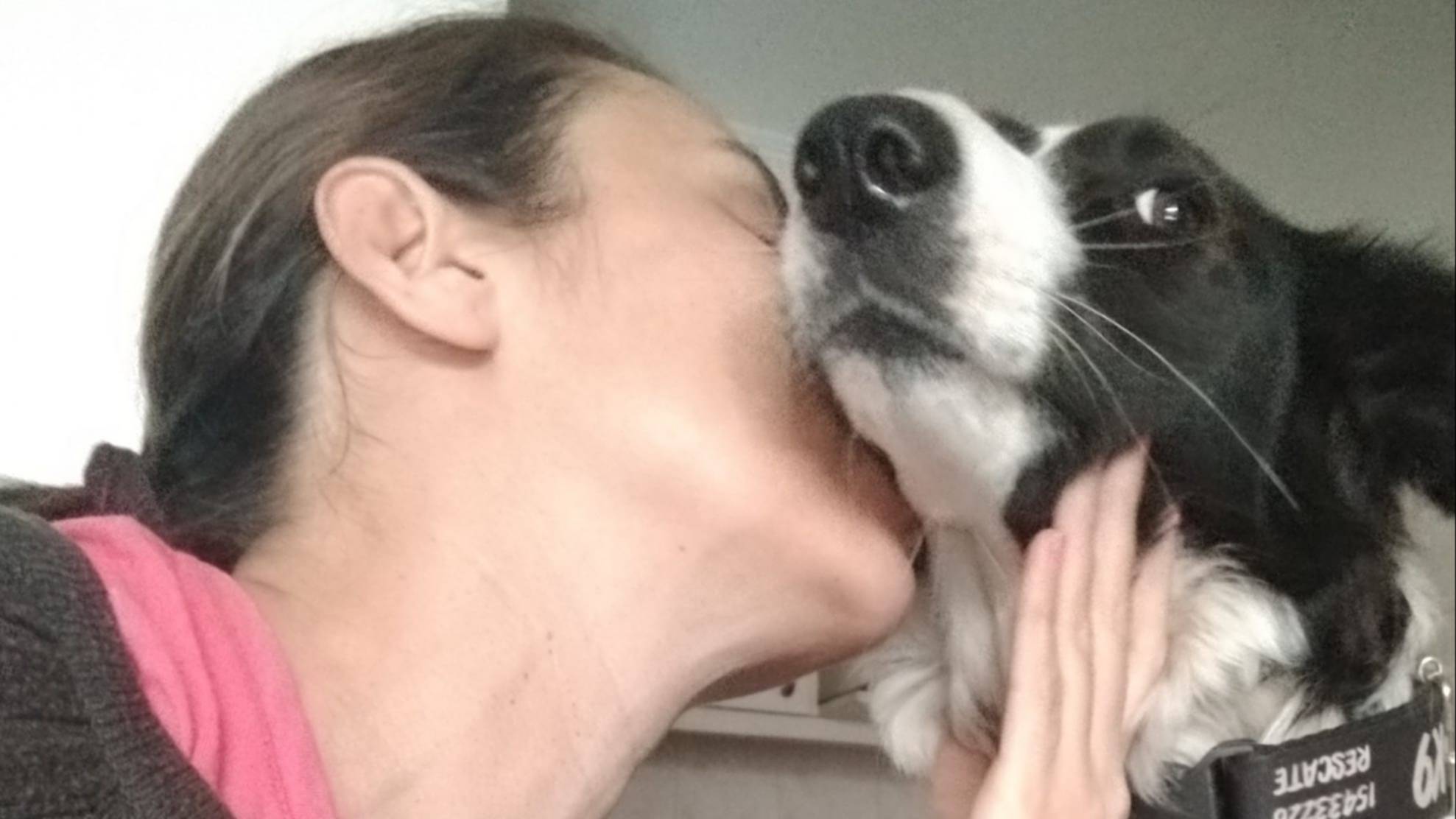 Rescató a su perra Luz y hoy comparten la vida y una misión: la búsqueda de personas