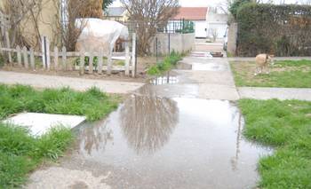 Medina: "Nuestra comunidad es afectada por gusanos, malos olores y riesgos sanitarios"