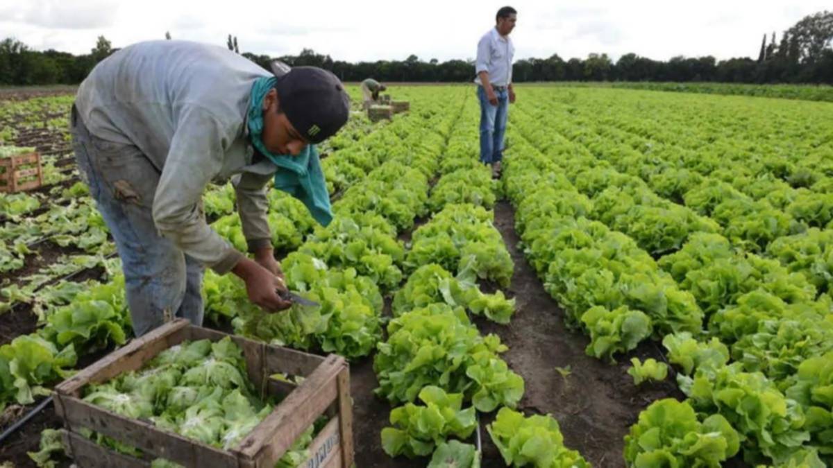 El trabajo rural, eje central para cumplir con las exigencias europeas