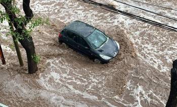 Árboles caídos, techos derrumbados y viviendas inundadas tras un temporal en Mendoza