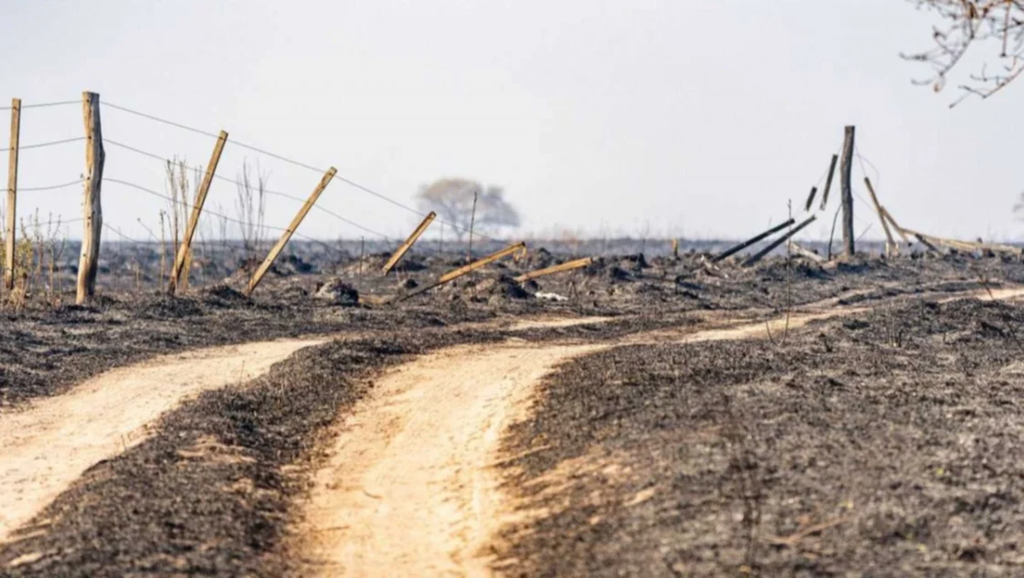 Piden derogar la Ley de Manejo del Fuego que fue impulsada por Máximo Kirchner