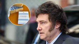 Qué es un plebiscito y para qué sirve la consulta popular que quiere hacer Milei