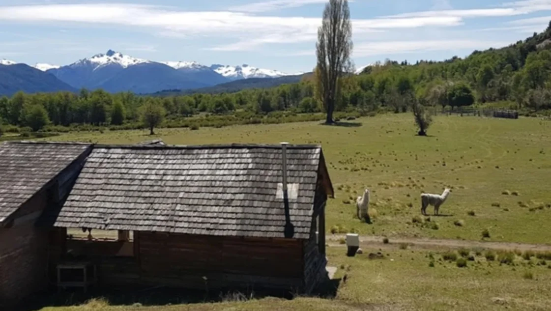 Comunidades mapuches denuncian desalojos para emprendimientos inmobiliarios