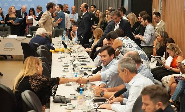 El Gobierno busca los votos para suspender las PASO y define su ...