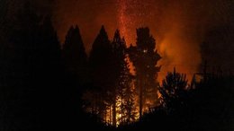 El Gobierno asegura que brinda asistencia a las provincias afectadas por el fuego