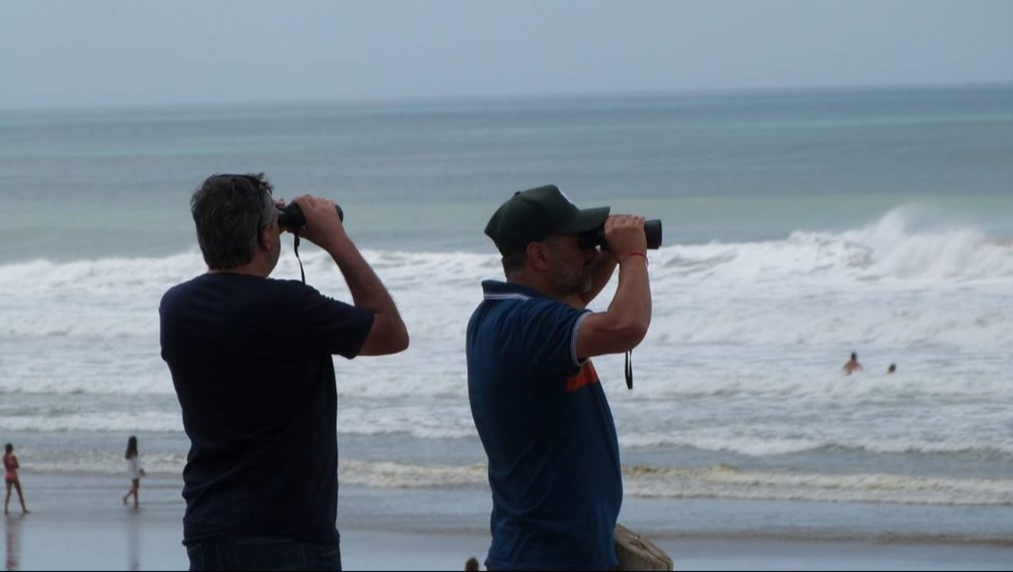 Intensa búsqueda de un joven que se metió al mar en Necochea con unos amigos y desapareció Intensa búsqueda de un joven que se metió al mar en Necochea con unos amigos y desapareció
