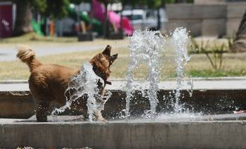 Pronóstico: así estará el tiempo este domingo 22 de febrero 