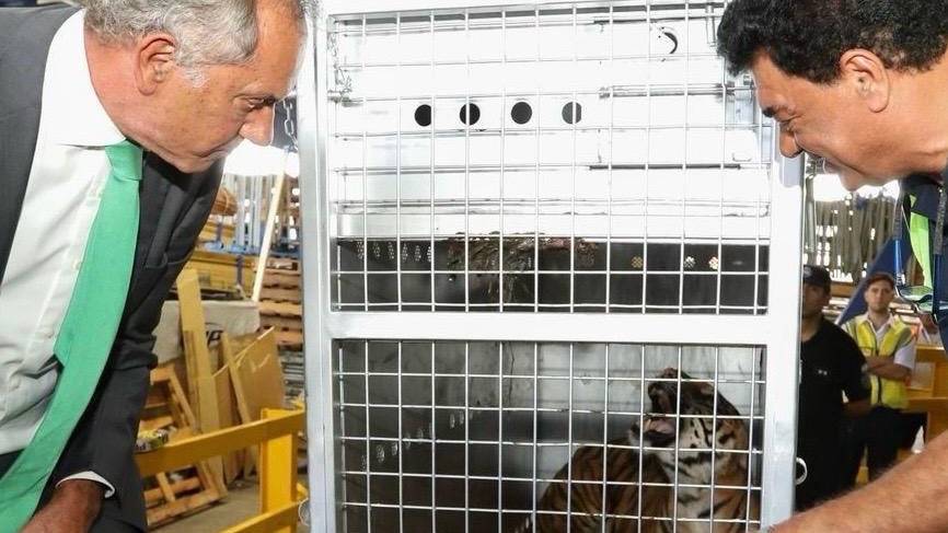 Scioli y Brom acompañaron el operativo de traslado de animales rescatados del ex zoológico de Luján