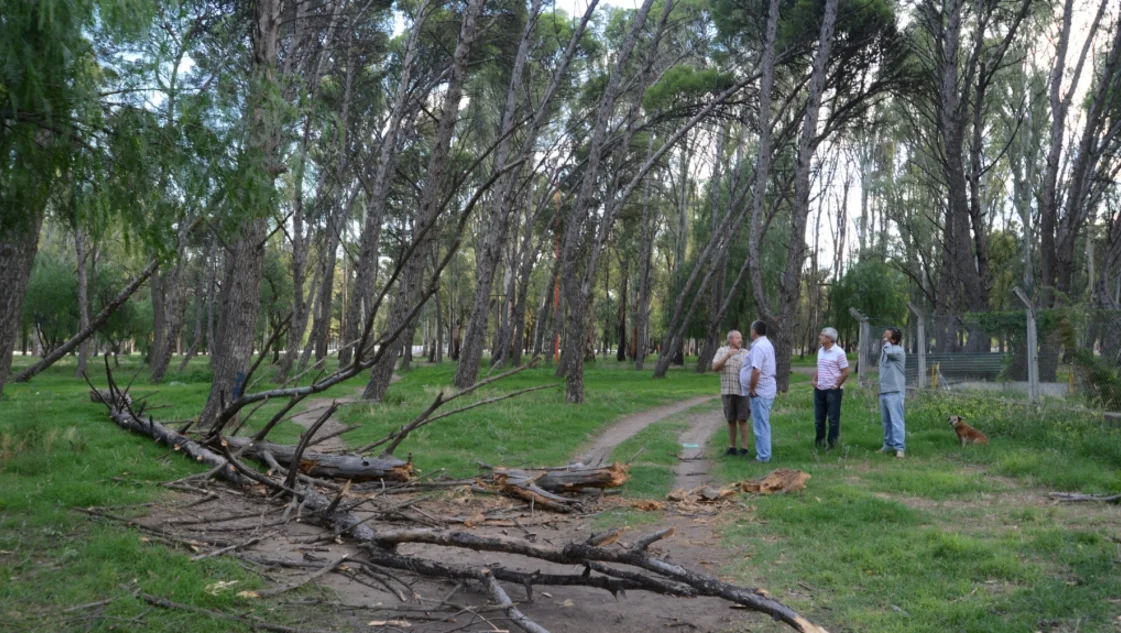 Abogado del exdirector de Parques pidió archivar la causa por la muerte de Daiana Abogado del exdirector de Parques pidió archivar la causa por la muerte de Daiana