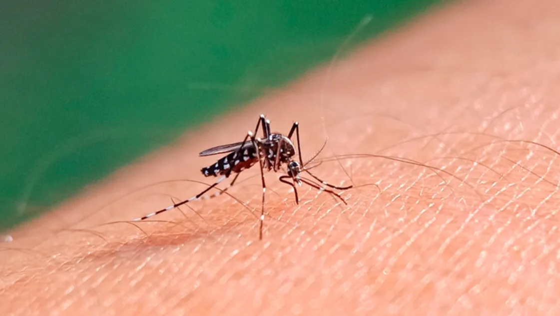 Crece el número de muertes por dengue y aumenta la preocupación