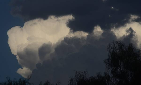Emiten una alerta amarilla por tormentas para Bahía Blanca y la región ...
