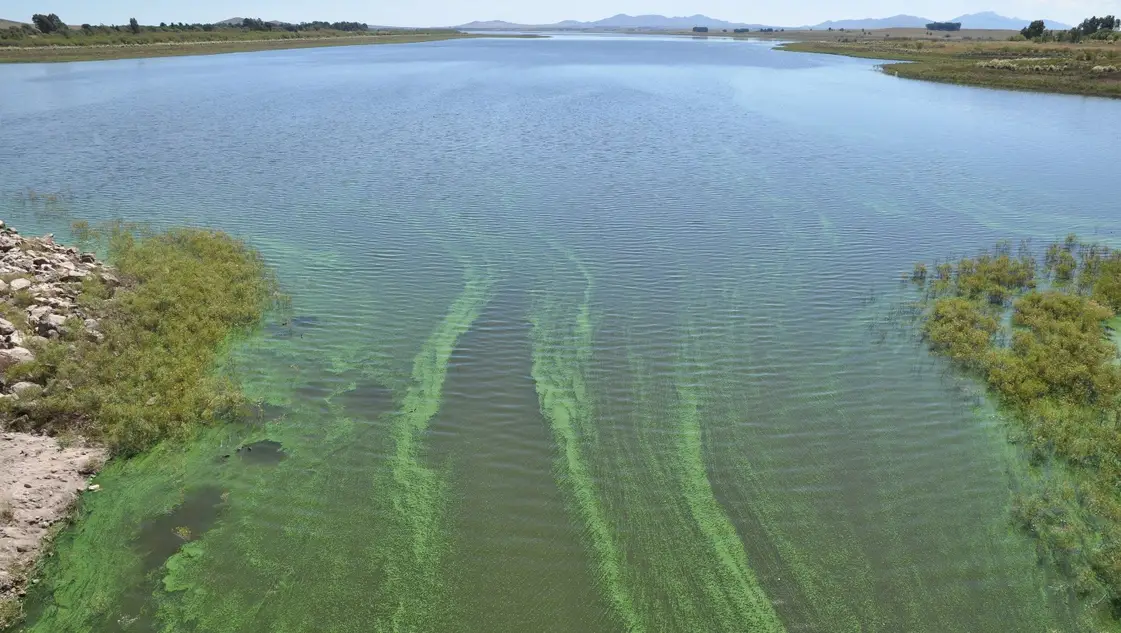 Piden racionar el agua por presencia de algas en el dique Paso de las Piedras