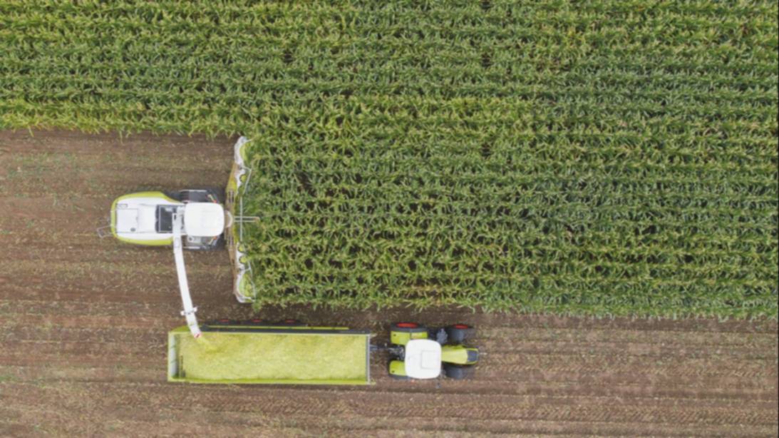 ¿Por qué el acceso al crédito es (hoy) el mayor desafío para el agro?