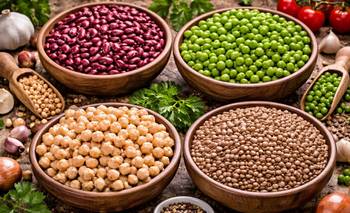 Legumbres: el otro lado del récord hacia una campaña histórica