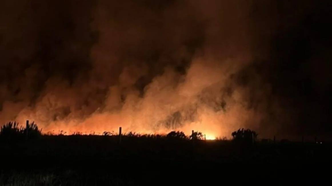 Incendios en Mar del Plata: hay más de 200 hectáreas consumidas por las llamas