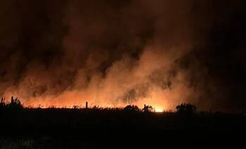 Incendios en Mar del Plata: hay más de 200 hectáreas consumidas por las llamas
