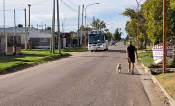 Adaptar la frecuencia de la línea 319 que une Punta Alta con Bahía