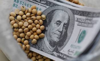 Estiman cosecha y exportación récord del agro pero con similar ingreso de dólares