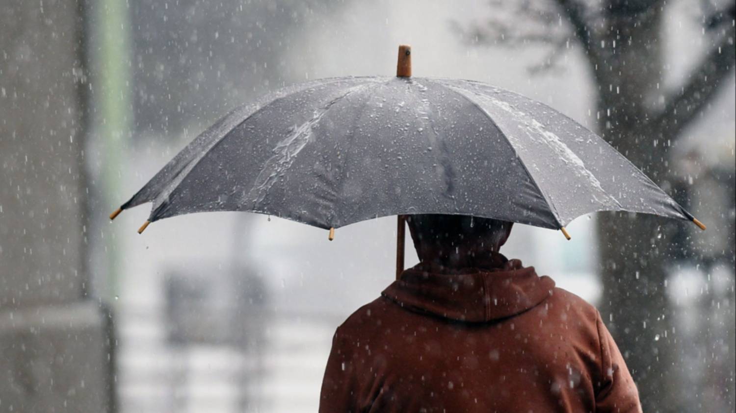 Vuelve la inestabilidad: alerta amarilla por tormentas desde el jueves a la tarde