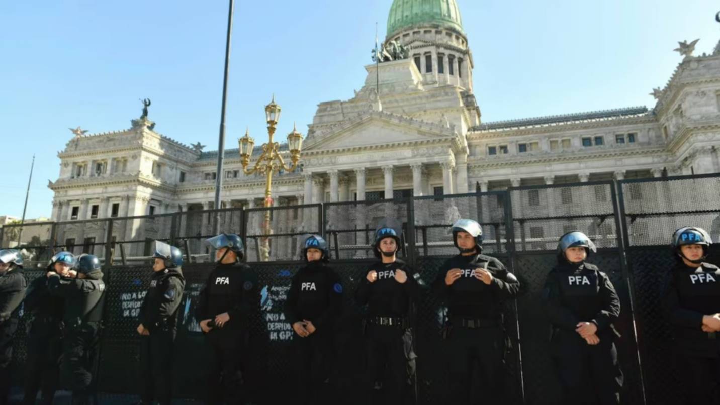 Insólito: un diputado compró online un rifle de aire comprimido que fue enviado al Congreso