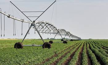 Riego: la hoja de ruta que triplica la superficie productiva (y puede generar miles de empleos en el país)