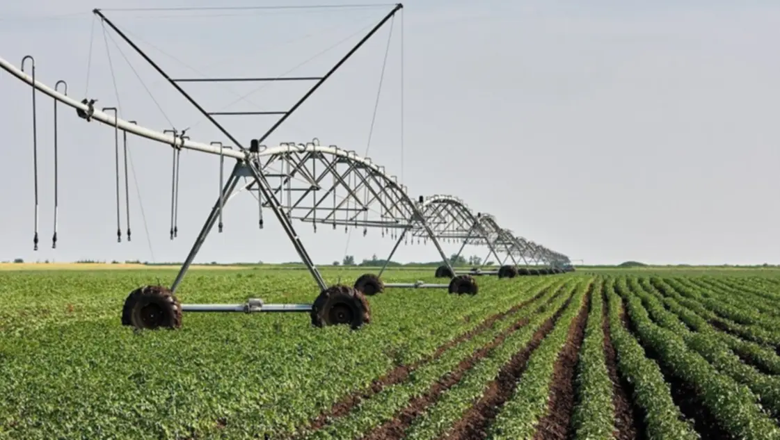 Riego: la hoja de ruta que triplica la superficie productiva (y puede generar miles de empleos en el país)