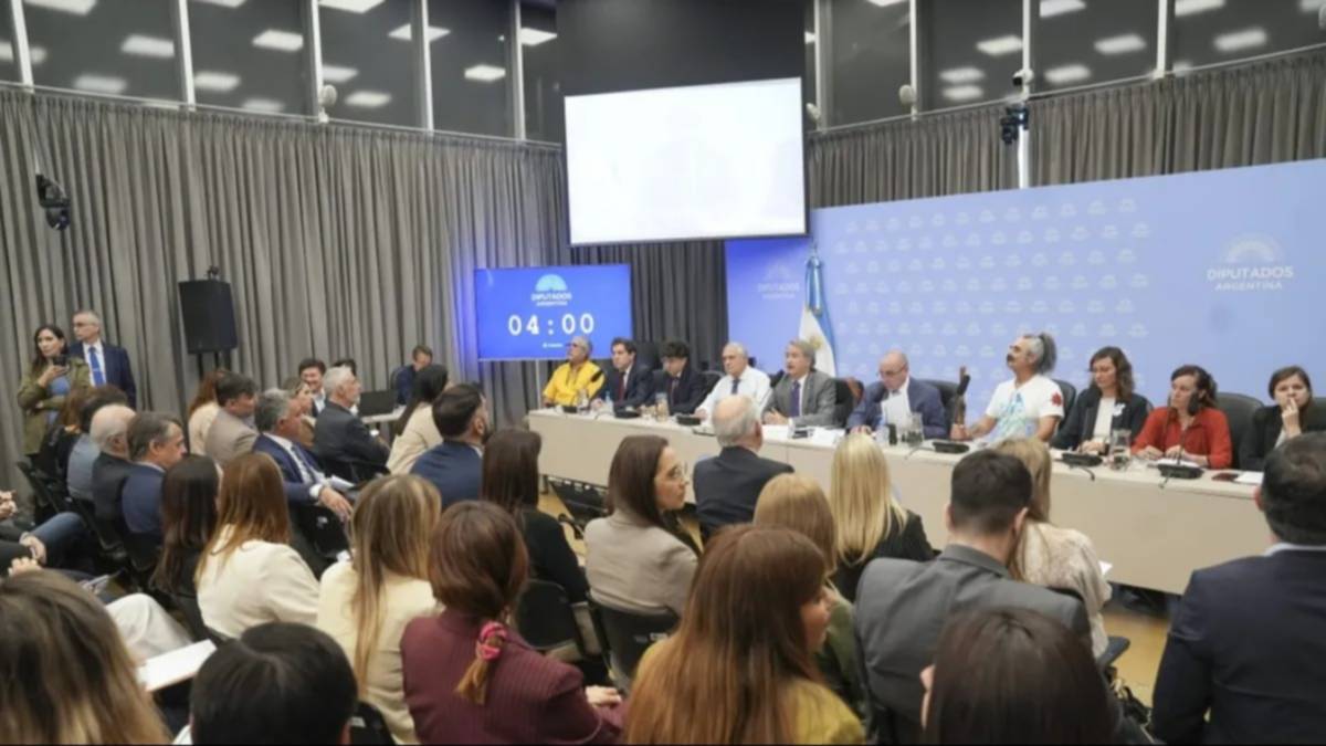 Ley de Glaciares: en medio de tensiones y polémicas, comenzaron las audiencias públicas en Diputados