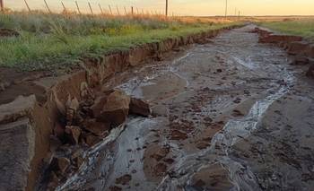 Desde el CD se reclamó la puesta en marcha del Consejo Vial Rural rosaleño
