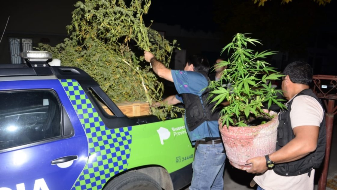 La Policía encontró unos 20 kilos de marihuana