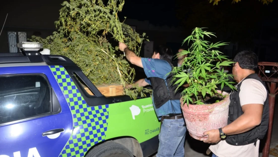 La Policía encontró unos 20 kilos de marihuana