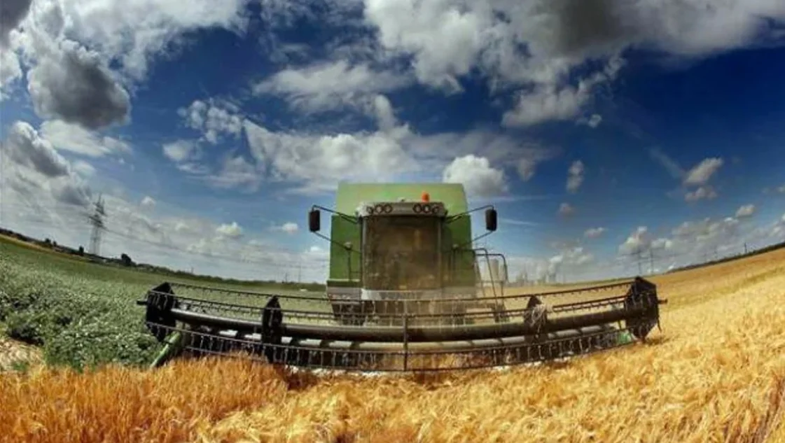 La presión impositiva en la renta agrícola cayó al menor nivel en cinco años