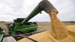 Optimismo en el sector agropecuario y agroindustrial tras los anuncios de Caputo