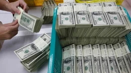 Con el nuevo esquema cambiario, a cuánto cerró la cotización del dólar en Bahía Blanca